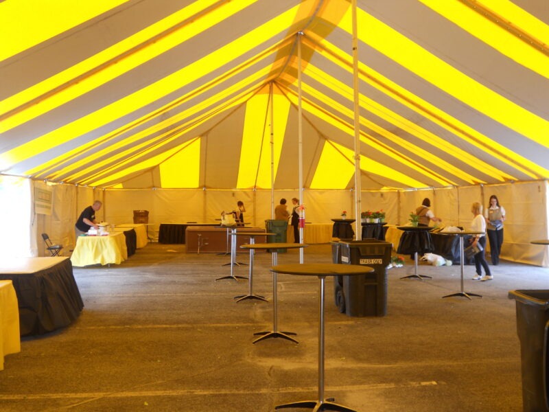 birthday party tent rental maple grove